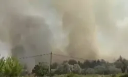 Alevler Bornova'dan Buca'ya sıçradı! İzmir'de kent merkezinden görülen orman yangını...