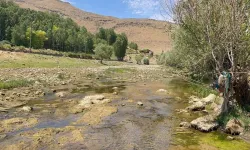 Van’da Bulunan Bendimahi Çayı Kuruyor! Siraz balığı yavruları tehlikede