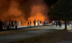 Van'da anız yangını