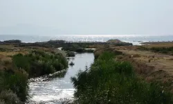 Uzmanlardan Van Gölü için korkutan uyarı!
