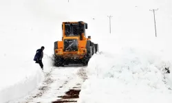 Van’da yoğun kar yağışı hayatı olumsuz etkiledi: 8 ilçede 77 yol kapalı