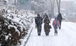 Van'da yüzlerce yerleşim yerinin yolu kapandı
