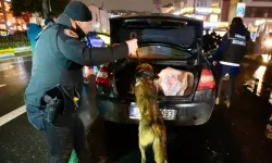 Van ve ülke genelinde yılbaşı için alınan tedbirler 4 gün boyunca uygulanacak