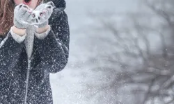 Kar yağışının faydaları nelerdir