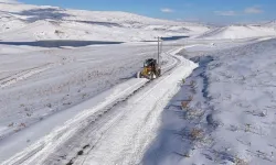 Van’da 220 yerleşim yeri yolu ulaşıma kapandı
