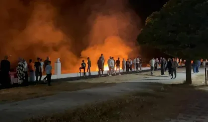 Van'da anız yangını