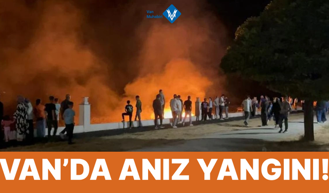 Van'da anız yangını