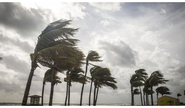 Van için sert rüzgâr uyarısı verildi!