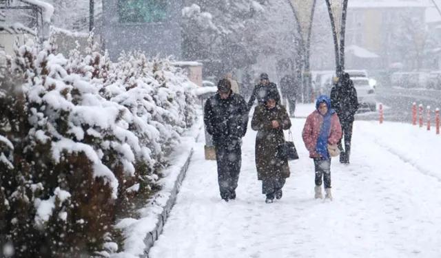 Van'da yüzlerce yerleşim yerinin yolu kapandı