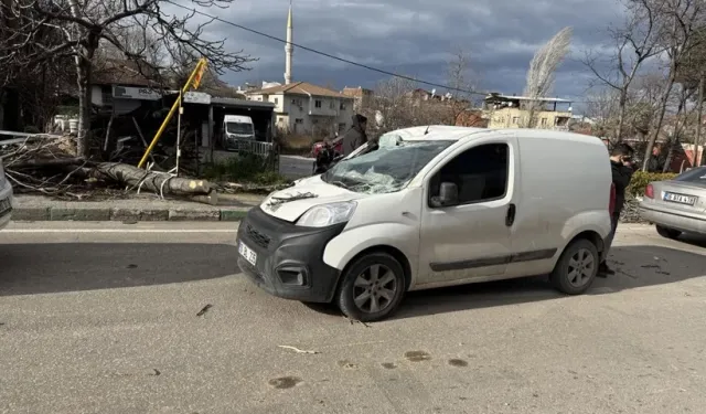 Ağaçlar devrildi, taşınabilir evler sürüklendi! Fırtına hayatı felç etti