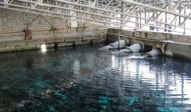 Van’ın içme suyu kaynağında alarm! Ciddi bir azalma var…