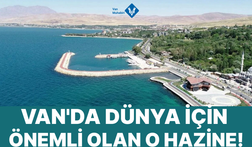 Van’da dünya için önemli hazine! Vanlılar bu hazineyi korumalı
