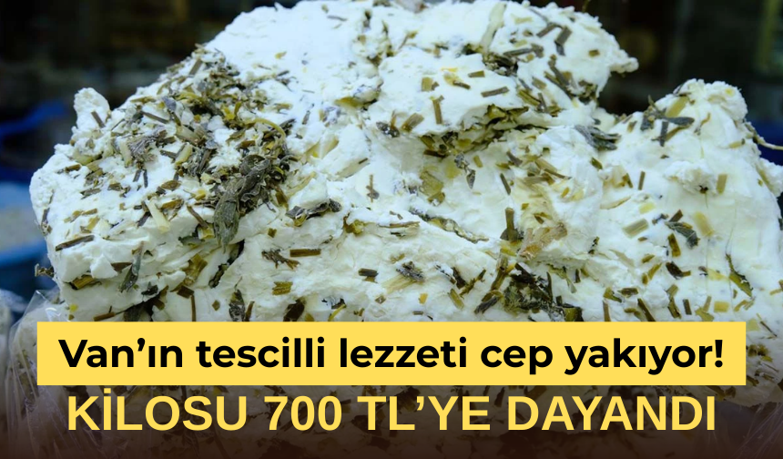 Van’ın tescilli lezzeti cep yakıyor! Kilosu 700 TL’ye dayandı